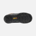 Dark Earth-Golden Brown Big Kids' Targhee Waterproof Boot Keen - Image 3